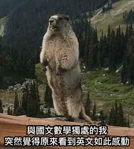 張超好笑 我需要英文灌溉 Gif 梗圖 快來看看網友們的搞笑創作